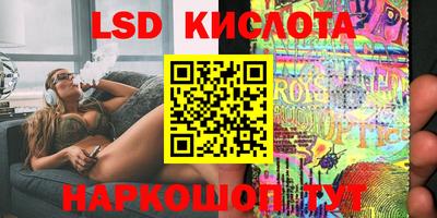 гашик Будённовск