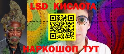 гашик Будённовск