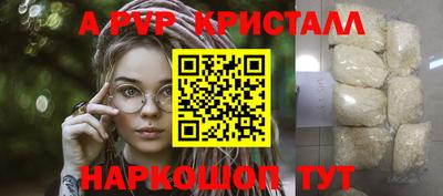 гашик Будённовск