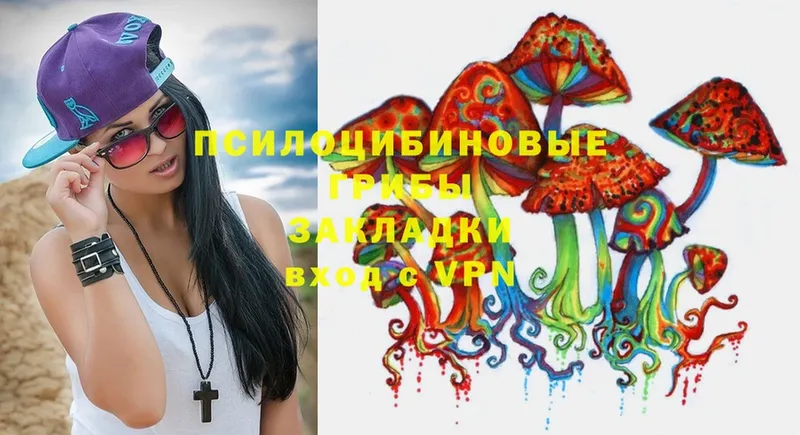 Псилоцибиновые грибы Psilocybe  магазин продажи   Выборг 